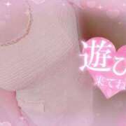 ヒメ日記 2025/03/17 08:57 投稿 ひかり エアポート