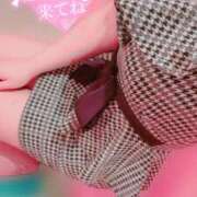 ヒメ日記 2025/04/16 09:02 投稿 ひかり エアポート