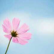 ヒメ日記 2025/04/21 15:19 投稿 ひかり エアポート