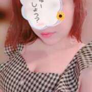 ヒメ日記 2025/07/15 09:08 投稿 ひかり エアポート