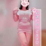 ヒメ日記 2025/08/18 09:02 投稿 ひかり エアポート