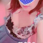 ヒメ日記 2025/09/24 09:05 投稿 ひかり エアポート