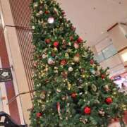 ヒメ日記 2024/12/15 09:40 投稿 永井ことみ 川崎南町 素敵な奥様（川崎ハレ系）