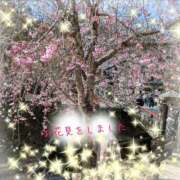 ヒメ日記 2025/04/03 10:00 投稿 永井ことみ 川崎南町 素敵な奥様（川崎ハレ系）