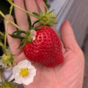 ヒメ日記 2025/04/18 10:00 投稿 永井ことみ 川崎南町 素敵な奥様（川崎ハレ系）