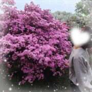 ヒメ日記 2025/04/21 10:00 投稿 永井ことみ 川崎南町 素敵な奥様（川崎ハレ系）