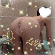 ヒメ日記 2025/05/31 10:00 投稿 永井ことみ 川崎南町 素敵な奥様（川崎ハレ系）