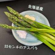 ヒメ日記 2025/06/18 18:58 投稿 永井ことみ 川崎南町 素敵な奥様（川崎ハレ系）