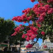 ヒメ日記 2025/07/20 08:16 投稿 永井ことみ 川崎南町 素敵な奥様（川崎ハレ系）