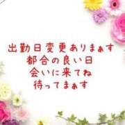 ヒメ日記 2025/08/07 12:12 投稿 永井ことみ 川崎南町 素敵な奥様（川崎ハレ系）