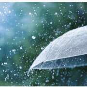 ヒメ日記 2025/08/11 15:04 投稿 永井ことみ 川崎南町 素敵な奥様（川崎ハレ系）