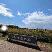 ヒメ日記 2025/08/16 15:10 投稿 永井ことみ 川崎南町 素敵な奥様（川崎ハレ系）