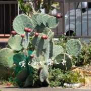 ヒメ日記 2025/09/05 10:00 投稿 永井ことみ 川崎南町 素敵な奥様（川崎ハレ系）