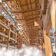 ヒメ日記 2025/10/03 17:02 投稿 永井ことみ 川崎南町 素敵な奥様（川崎ハレ系）