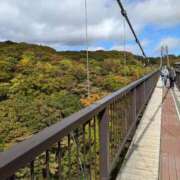 ヒメ日記 2025/10/21 12:55 投稿 永井ことみ 川崎南町 素敵な奥様（川崎ハレ系）