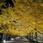 ヒメ日記 2025/11/22 13:17 投稿 永井ことみ 川崎南町 素敵な奥様（川崎ハレ系）