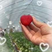 永井ことみ いちご狩り🍓 川崎南町 素敵な奥様（川崎ハレ系）