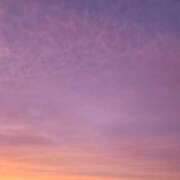 ヒメ日記 2025/12/19 18:35 投稿 はるか エアポート