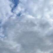 ヒメ日記 2026/01/04 09:29 投稿 はるか エアポート