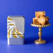 ヒメ日記 2026/02/14 20:23 投稿 江崎 こなつ エアポート