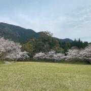 ヒメ日記 2025/04/17 19:02 投稿 矢沢　あい エアポート