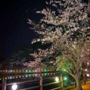 矢沢　あい (o^^o) エアポート