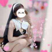 ヒメ日記 2025/02/20 12:22 投稿 しらゆき 清楚