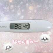 ヒメ日記 2025/05/02 12:45 投稿 しらゆき 清楚