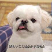 ヒメ日記 2025/05/12 15:53 投稿 しらゆき 清楚