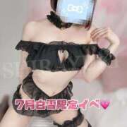 ヒメ日記 2025/07/14 10:57 投稿 しらゆき 清楚