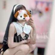 ヒメ日記 2025/07/17 11:15 投稿 しらゆき 清楚