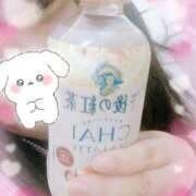 ヒメ日記 2024/12/15 23:33 投稿 みひろ ぽちゃLOVE(サンライズグループ)