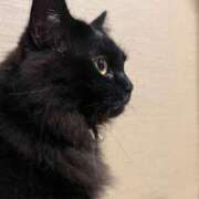 ヒメ日記 2024/12/15 14:18 投稿 ノア Club 妻