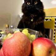 ヒメ日記 2024/12/28 11:55 投稿 ノア Club 妻