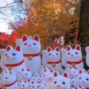 ヒメ日記 2024/12/30 11:43 投稿 ノア Club 妻