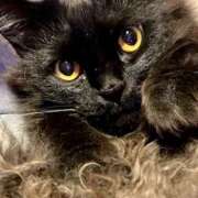 ヒメ日記 2025/01/14 11:29 投稿 ノア Club 妻