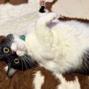 ヒメ日記 2025/01/25 10:57 投稿 ノア Club 妻