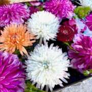 ヒメ日記 2025/01/26 14:48 投稿 ノア Club 妻