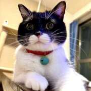 ヒメ日記 2025/02/04 11:24 投稿 ノア Club 妻