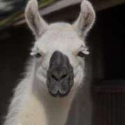 ヒメ日記 2025/03/11 11:33 投稿 ノア Club 妻