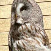 ヒメ日記 2025/03/20 11:22 投稿 ノア Club 妻