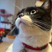 ヒメ日記 2025/03/24 16:02 投稿 ノア Club 妻