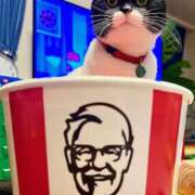 ヒメ日記 2025/03/26 11:33 投稿 ノア Club 妻