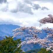 ヒメ日記 2025/04/06 12:54 投稿 ノア Club 妻