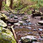 ヒメ日記 2025/04/08 14:29 投稿 ノア Club 妻