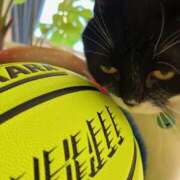 ヒメ日記 2025/04/19 11:08 投稿 ノア Club 妻