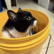 ヒメ日記 2025/04/25 10:48 投稿 ノア Club 妻