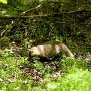 ヒメ日記 2025/04/28 12:09 投稿 ノア Club 妻