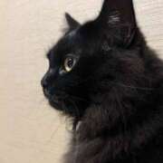 ヒメ日記 2025/05/02 11:19 投稿 ノア Club 妻