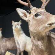 ヒメ日記 2025/05/10 11:27 投稿 ノア Club 妻